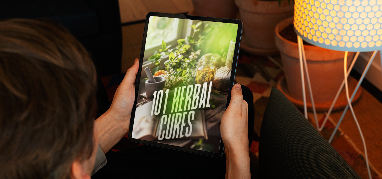 Fat Burning Recipe Blueprint